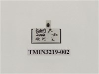 藏品(太田隱勢瓢蟲)的圖片